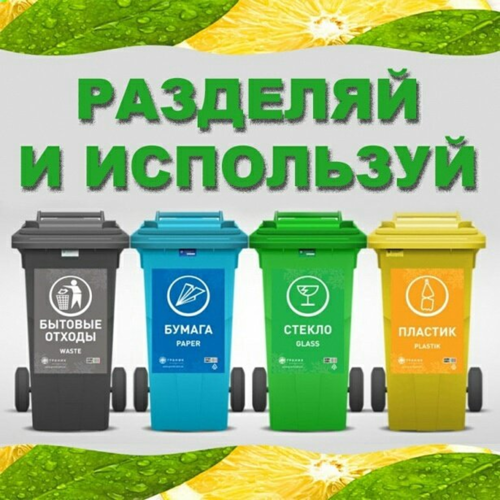 Чистый лес - раздельный сбор мусора.